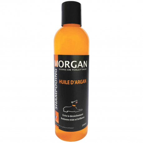 Shampooing protéiné banane