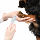 Tondeuse Furstyle chien et chat