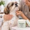Masque Beauty Care Anju Beauté