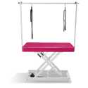 Table de toilettage Vivog I-Design Rose
