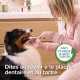 Beaphar Dentifrice Menthe & Persil Chien Chat 100 g