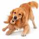 Peluche Chien DOOGY Wooly Lion 17 cm – Jouet Lion