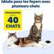 Chatière à Puce Électronique PetSafe PPA19-16145