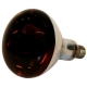 Ampoule infra rouge 250w 