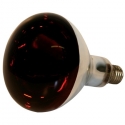Ampoule infra rouge 250w 
