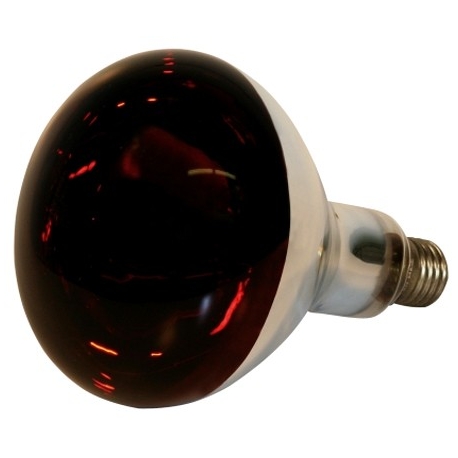 Ampoule infra rouge 250w 