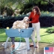 Bathtub bath country baignoire portable pour chien