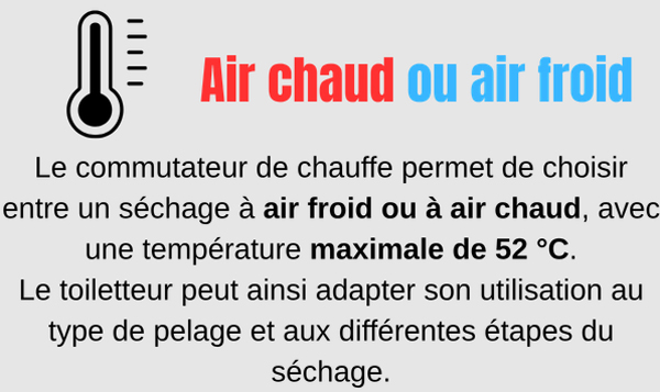 sehoir pour chien