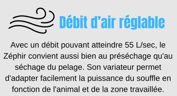 sehoir pour chien