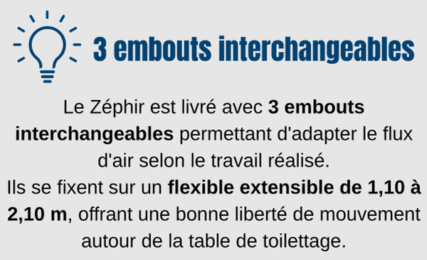sehoir pour chien