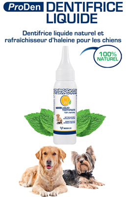 dentifrice pour chien naturel