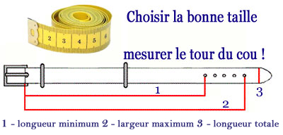 Laisse pour chien 