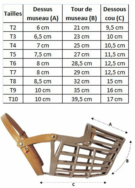 Taille musolière