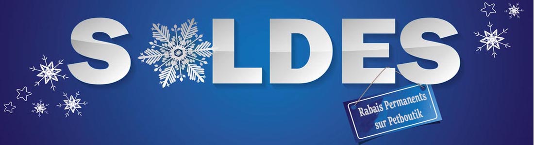 accessoire pour chien t chat