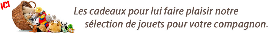 jouet pour chien & et peluche