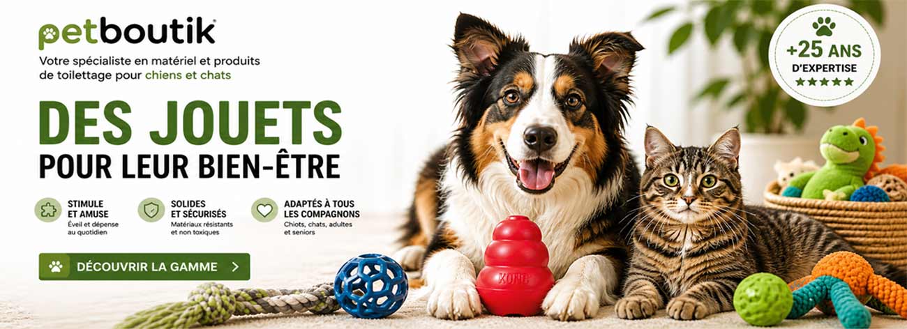 jouet kong