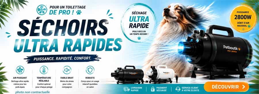 pulseur pour chien