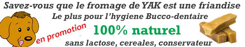 friandise pour chien 
