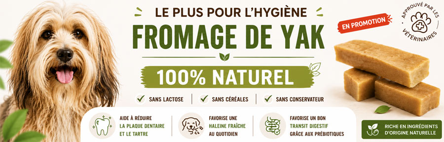 friandise pour chien