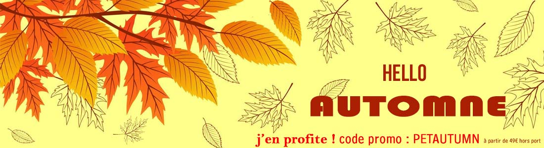 La boutique pour chien et chat