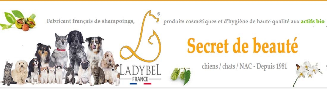 shampoing Ladybel pour chien et chat 