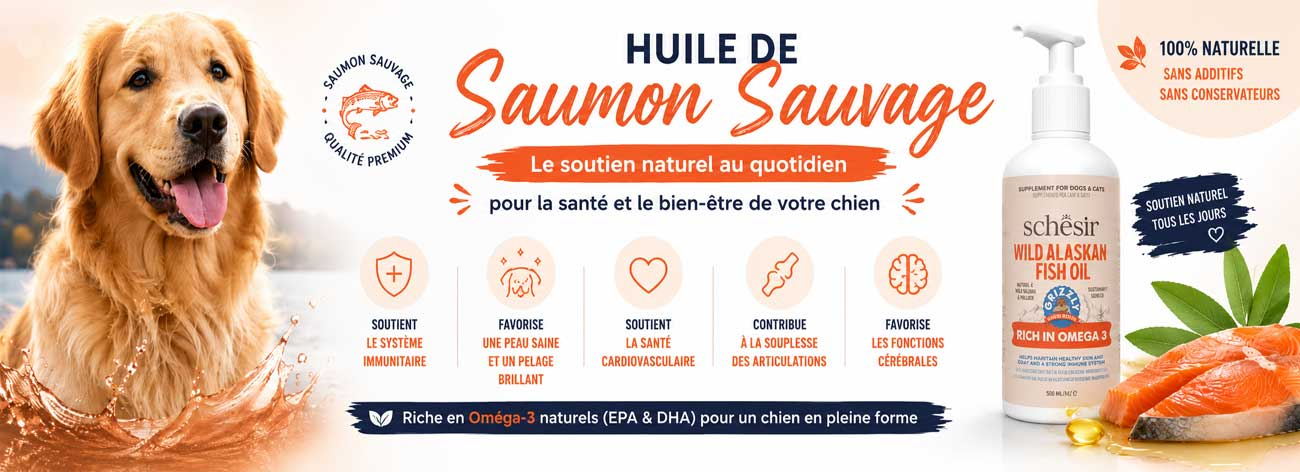 huile de saumon pour chien