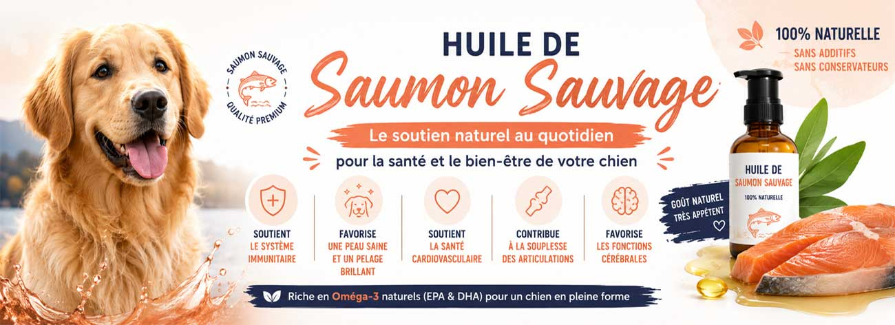 huile de saumon pour chien