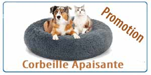 coussin